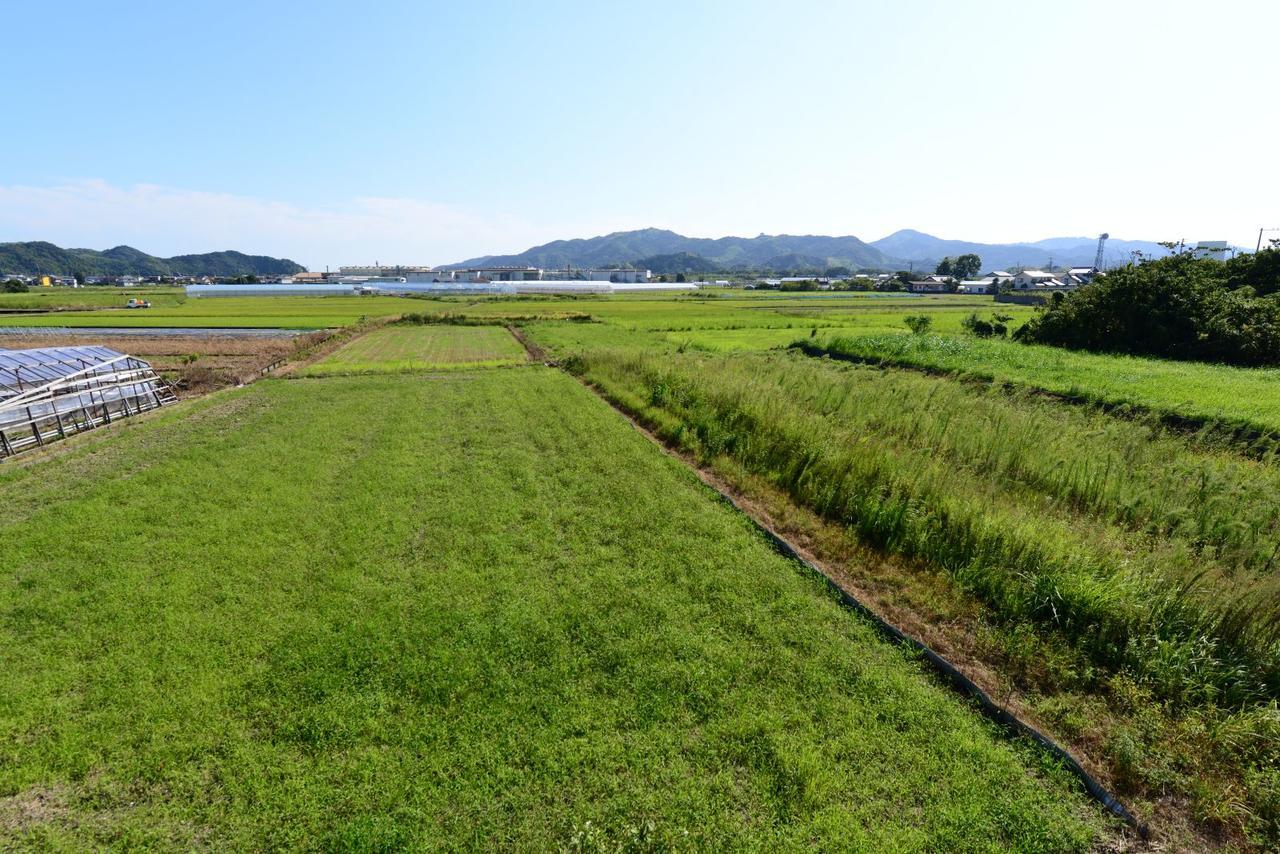Haruno Guesthouse Kōchi المظهر الخارجي الصورة